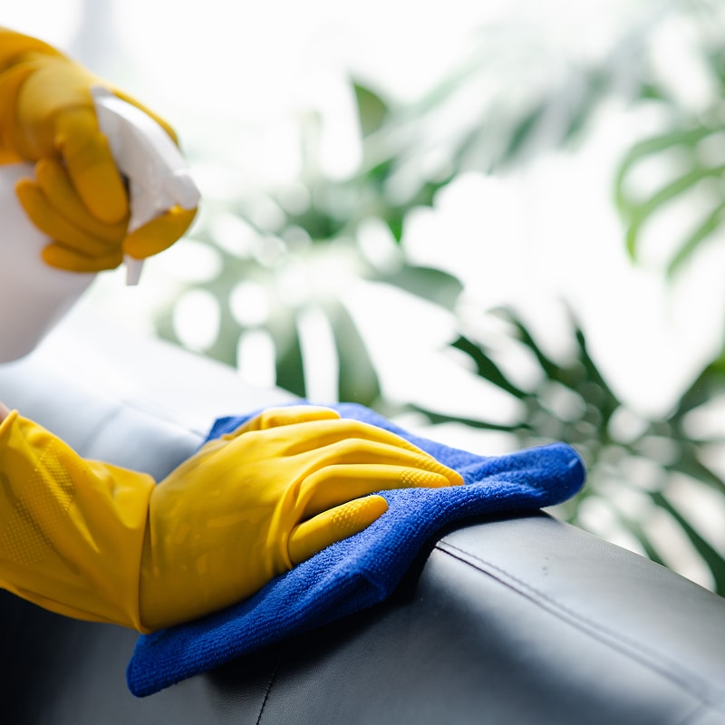 Main gantée de jaune nettoie un meuble foncé avec un chiffon microfibre bleu et un spray. Feuilles vertes en fond.