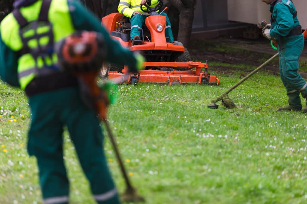 Deux jardiniers tondent une pelouse fleurie : l'un sur une tondeuse autoportée orange, l'autre avec une débroussailleuse.